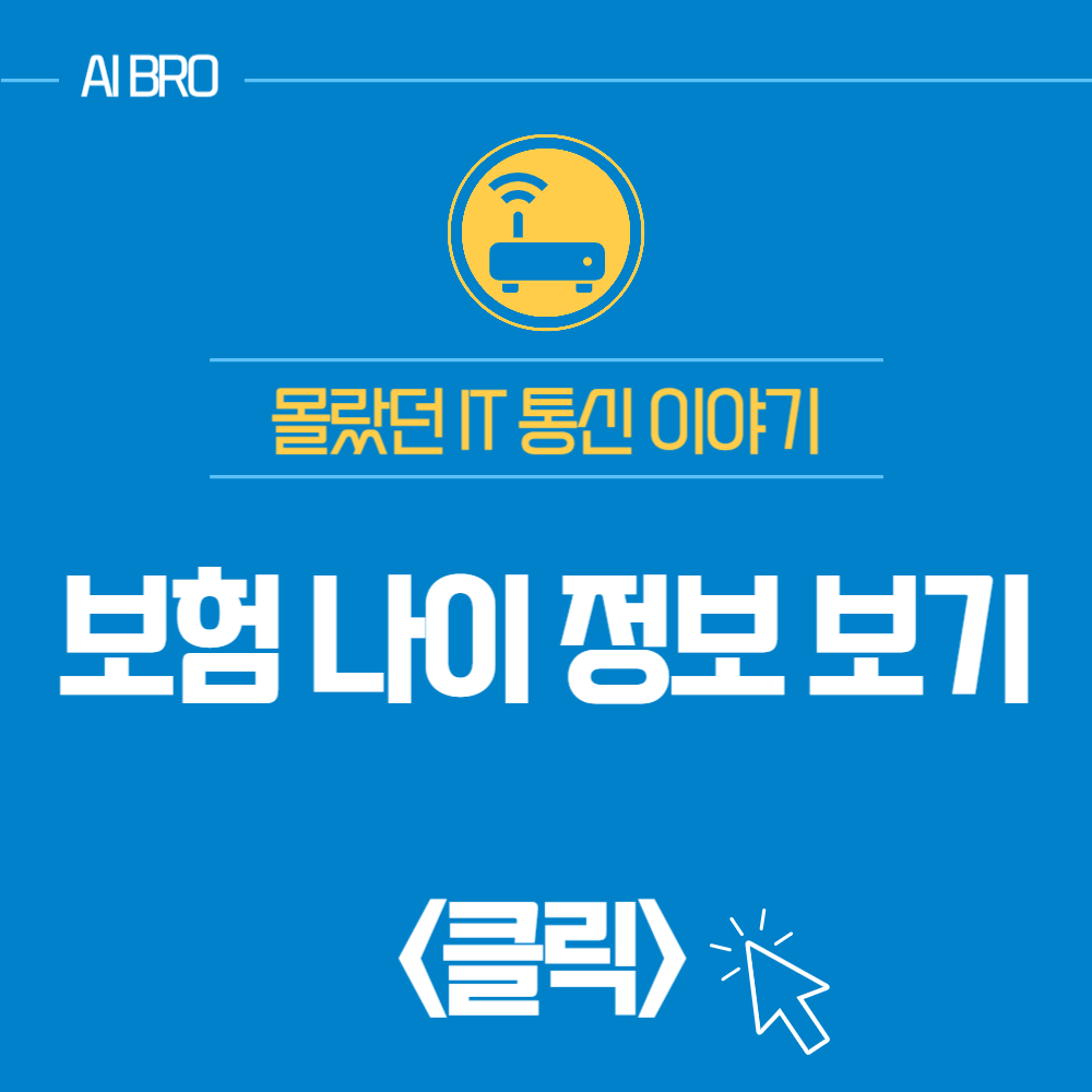 보험 나이